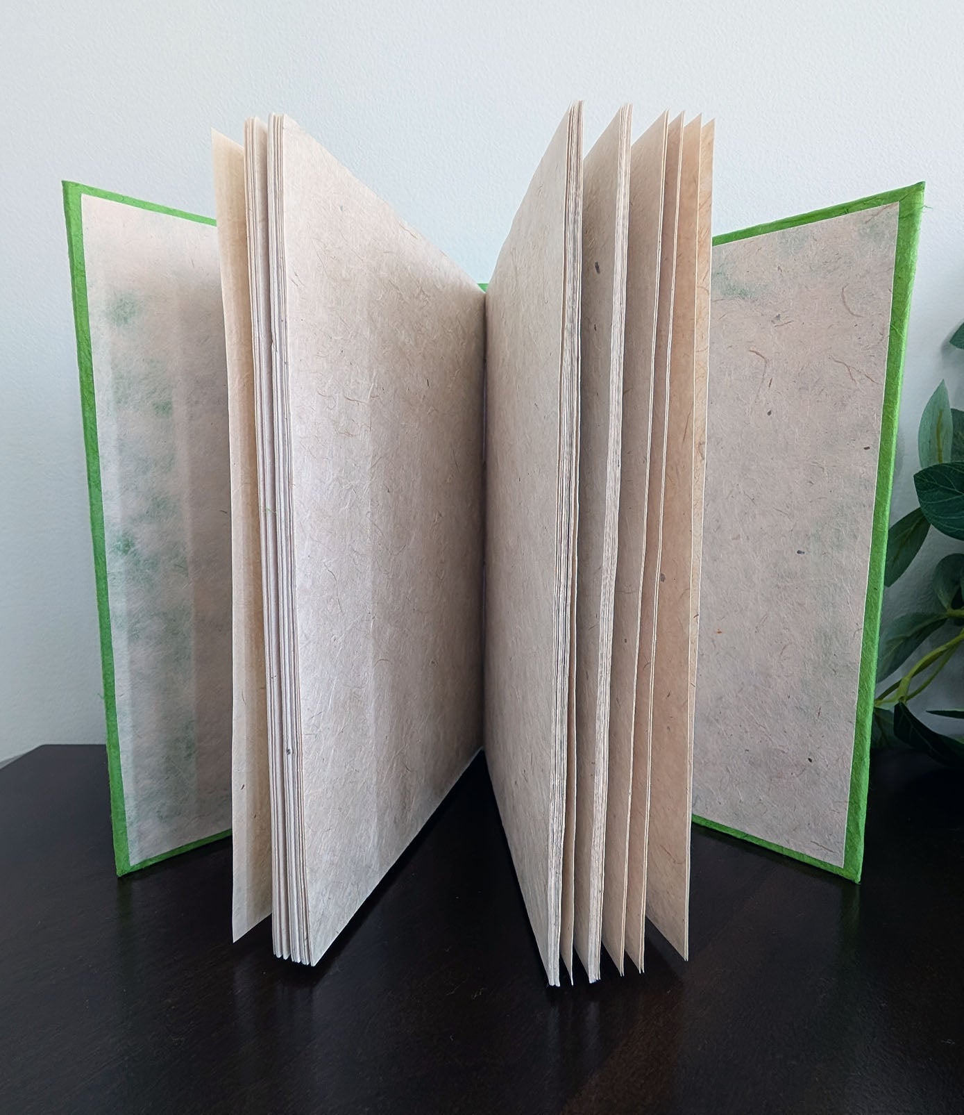 From Buddhist Books to Japanese Bank Notes: Amazing Uses of Lokta Paper
